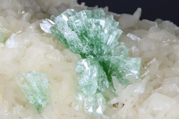 Green Apophyllite Flowers on Stilbite Crystals - India #176817